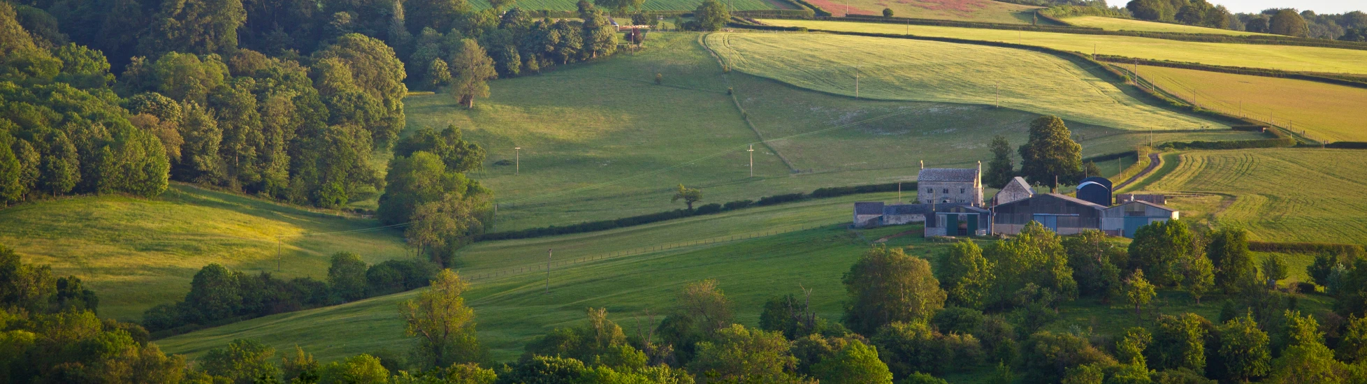 Sun rising over a farmhouse and field 